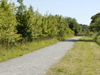 Maintenance - Paths, Belhus Chase, Kent